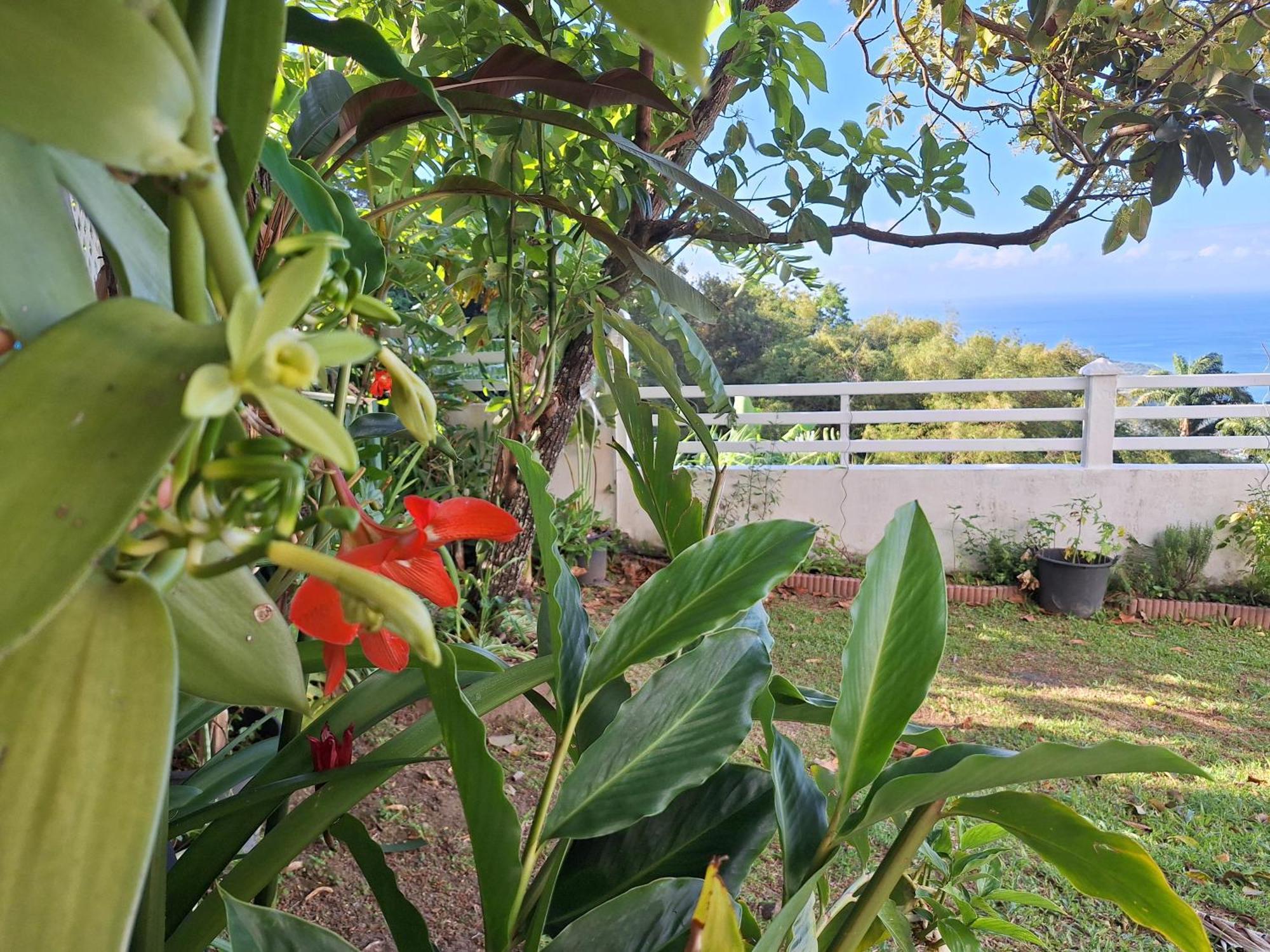 Belavue & Spa Prive, Avec Vue Panoramique Sur Mer, Jardin Creole Paysager, Jacuzzi Prive Bouillante Pokój zdjęcie