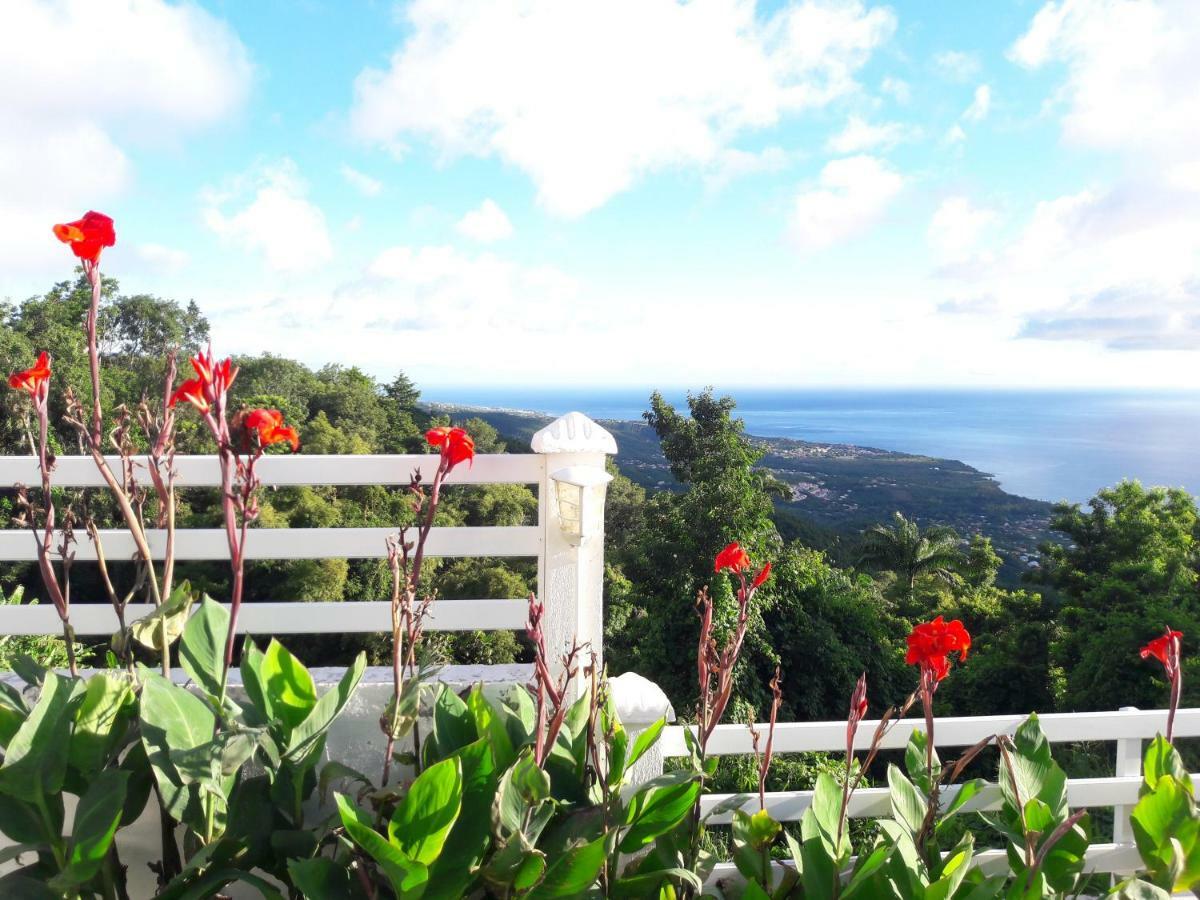 Belavue & Spa Prive, Avec Vue Panoramique Sur Mer, Jardin Creole Paysager, Jacuzzi Prive Bouillante Zewnętrze zdjęcie
